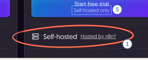 Business’s hosting line, “Self-hosted · Hosted by n8n?”, ringed.